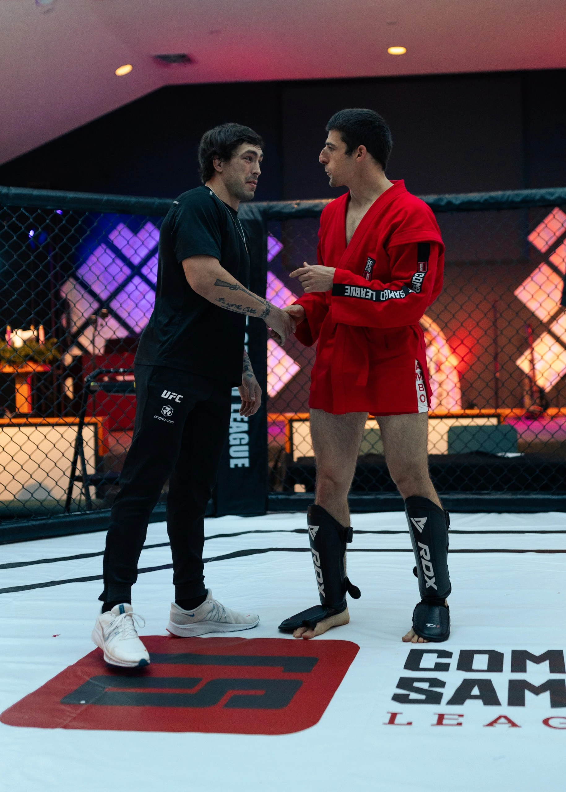 Combat Sambo League